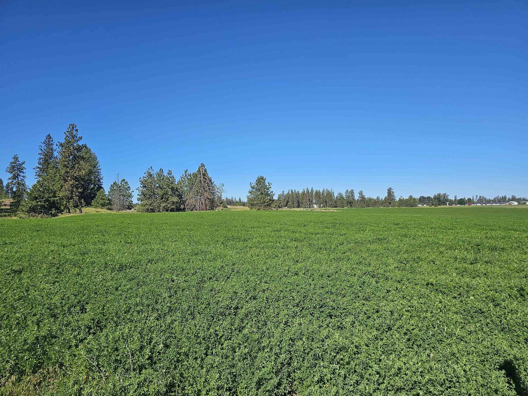 22 Acres of Land for Sale in Spokane, Washington