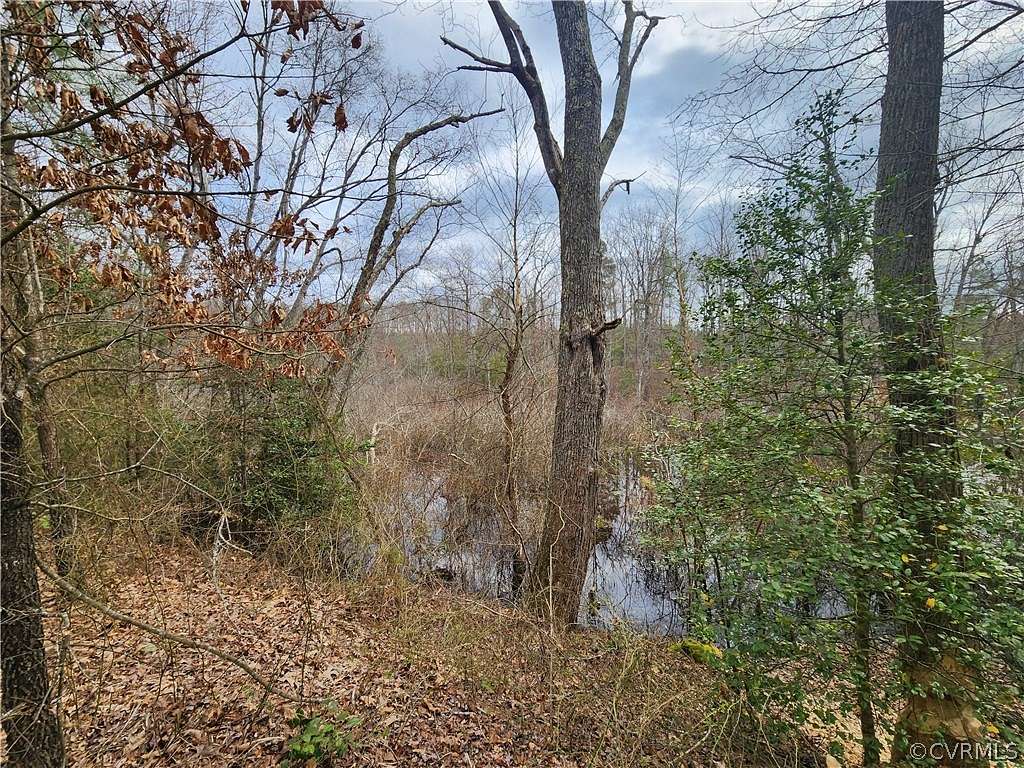 10.51 Acres of Recreational Land for Sale in Milford, Virginia - LandSearch