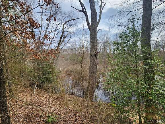 10.5 Acres of Recreational Land for Sale in Milford, Virginia