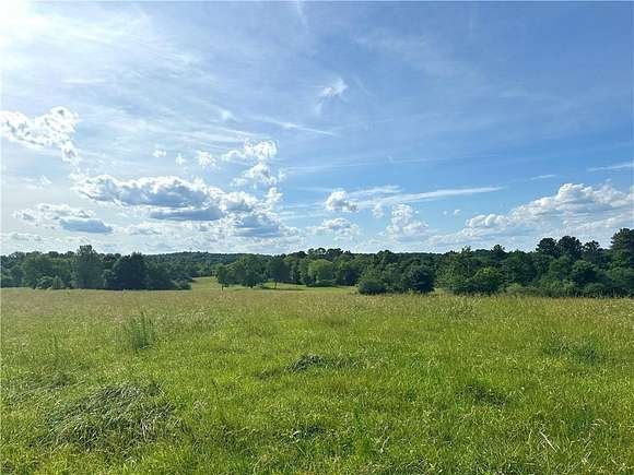 50.393 Acres of Agricultural Land for Sale in Adairsville, Georgia