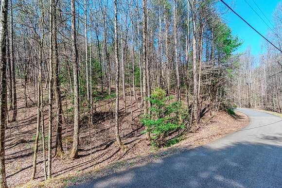 1.2 Acres of Residential Land for Sale in Ellijay, Georgia