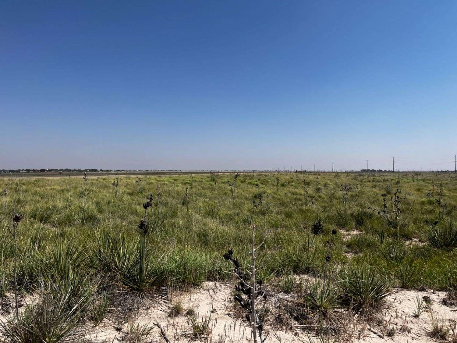 10 Acres of Land for Sale in Wolfforth, Texas