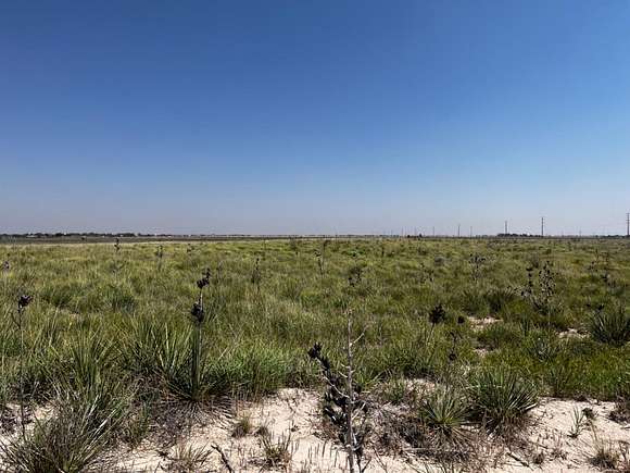 10.004 Acres of Land for Sale in Wolfforth, Texas