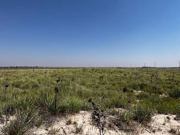10 Acres of Land for Sale in Wolfforth, Texas