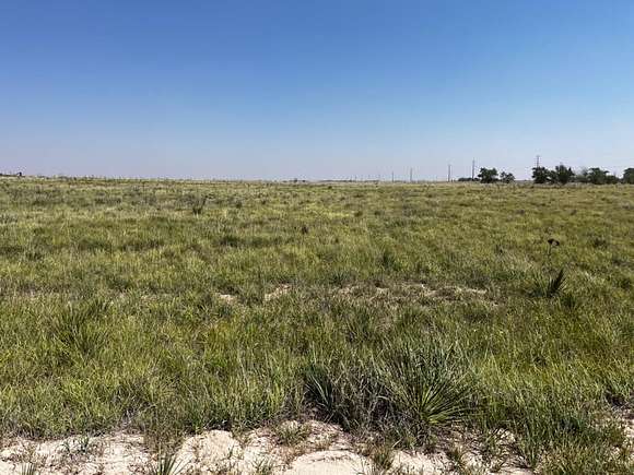 10 Acres of Land for Sale in Wolfforth, Texas