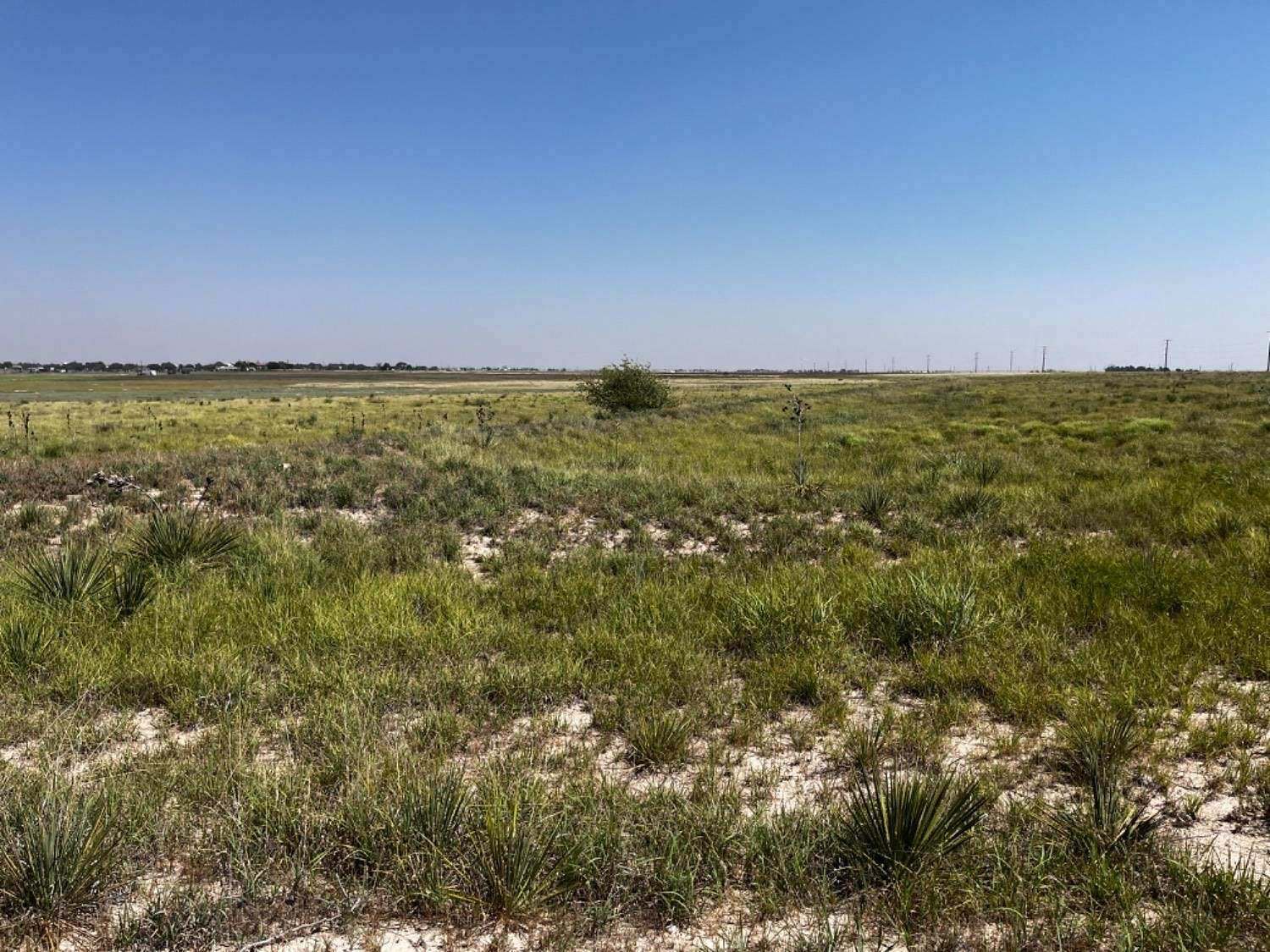 10.004 Acres of Land for Sale in Wolfforth, Texas