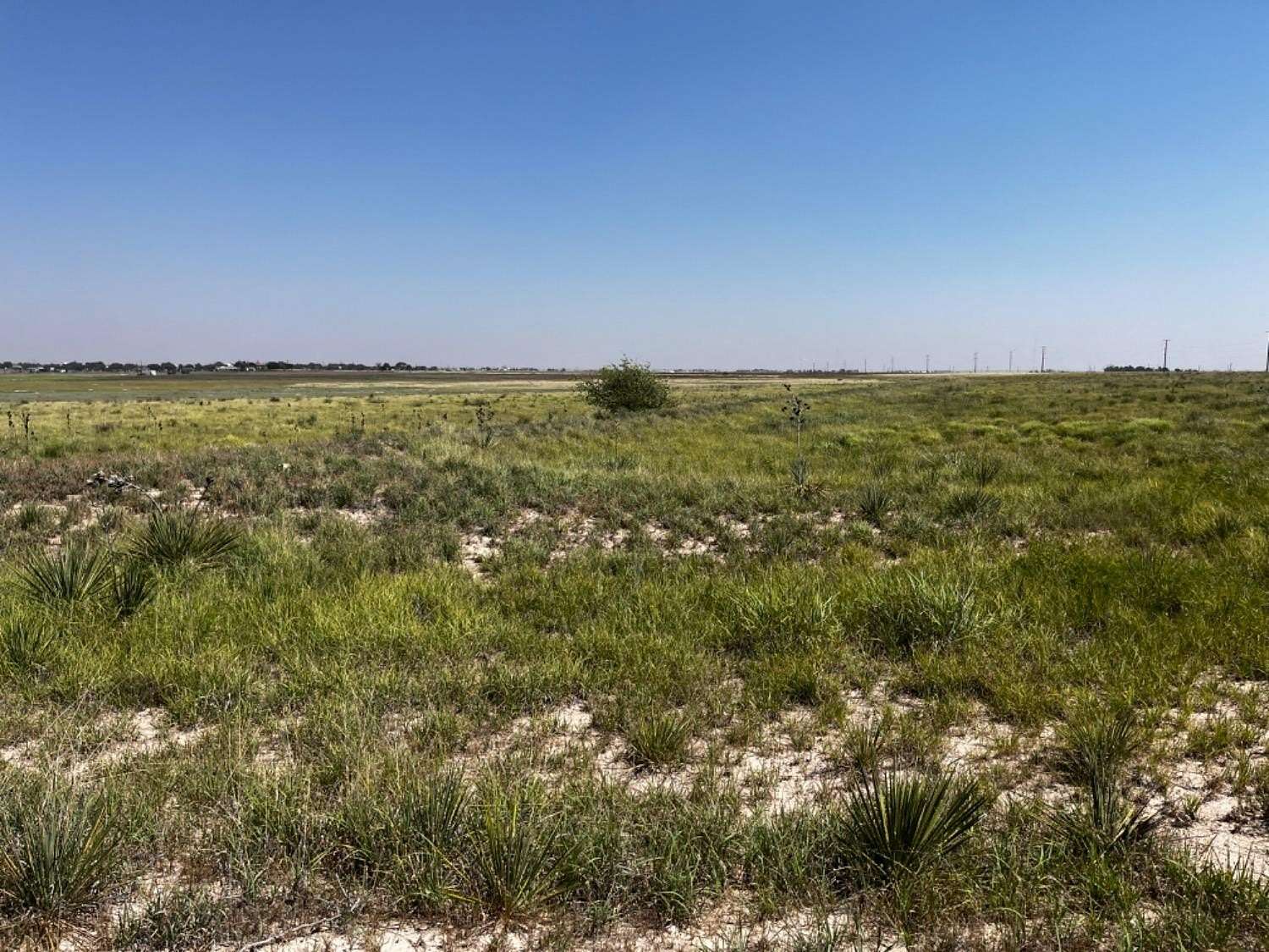 10 Acres of Land for Sale in Wolfforth, Texas