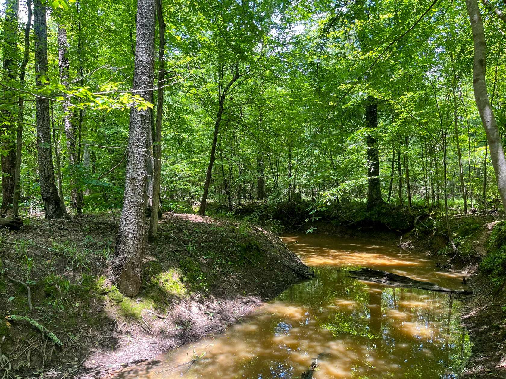 86 Acres of Recreational Land for Sale in Brandon, Mississippi