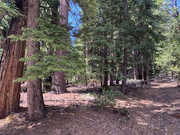 0.52 Acres of Residential Land for Sale in Camp Connell, California