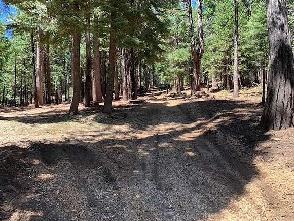 0.52 Acres of Residential Land for Sale in Camp Connell, California