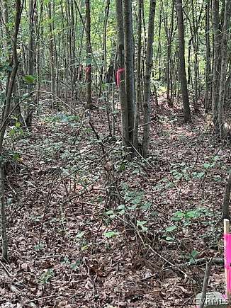 11.2 Acres of Recreational Land for Sale in Brodnax, Virginia