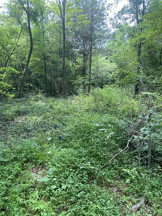 1 Acre of Residential Land for Sale in Chattanooga, Tennessee