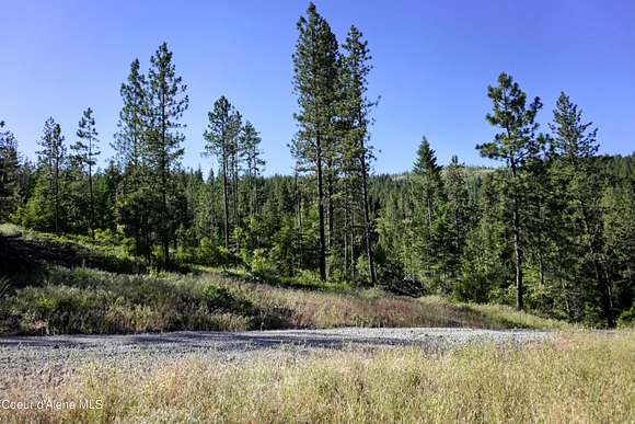 20 Acres of Recreational Land for Sale in Blanchard, Idaho