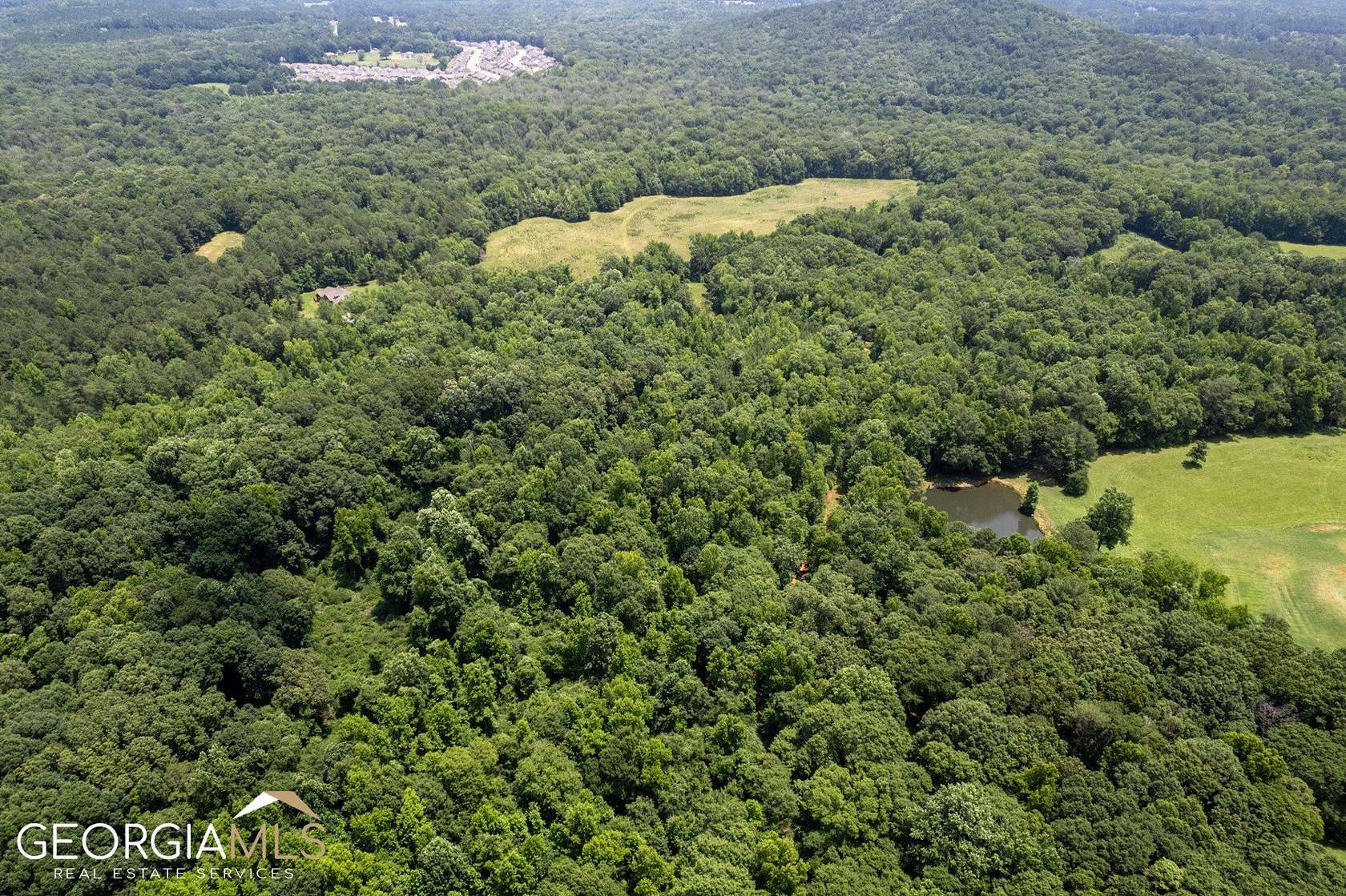 106 Acres of Agricultural Land for Sale in Covington, Georgia