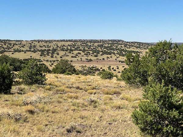 78.4 Acres of Land for Sale in Quemado, New Mexico