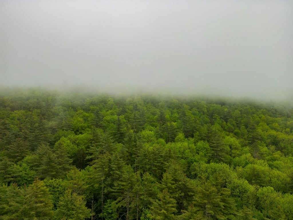 Land for Sale in Newry, Maine