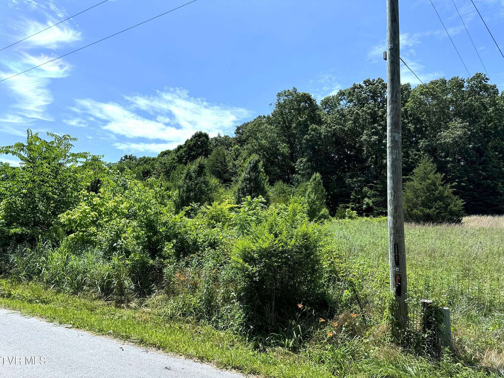 16.34 Acres of Recreational Land for Sale in Greeneville, Tennessee