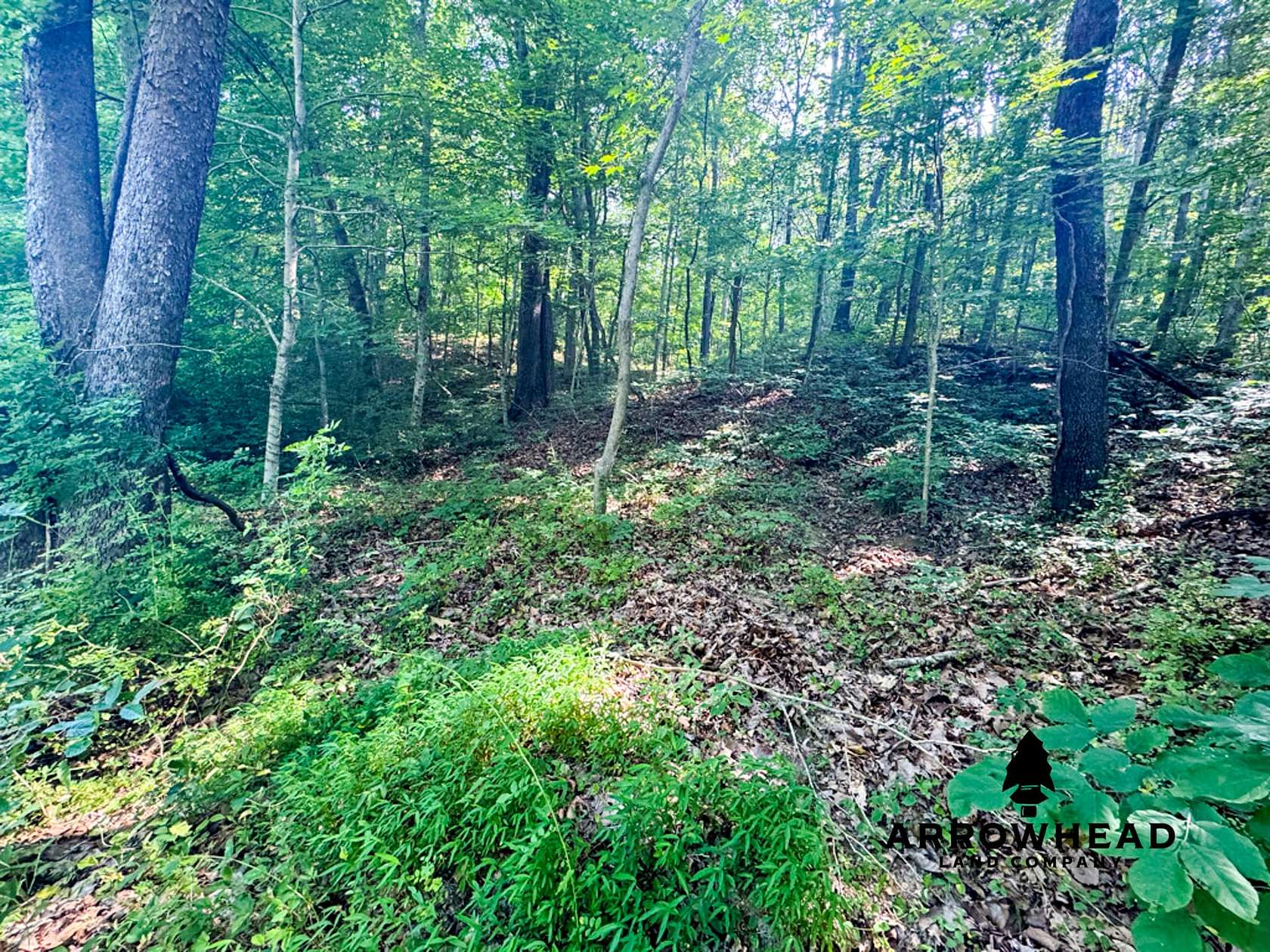 9 Acres of Recreational Land for Sale in Lucasville, Ohio
