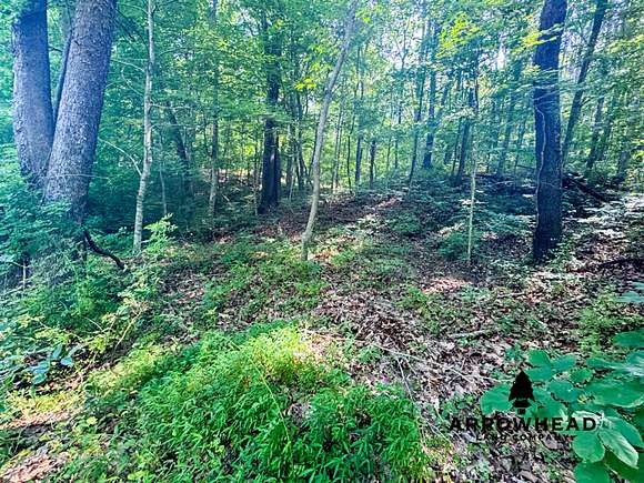 9 Acres of Recreational Land for Sale in Lucasville, Ohio