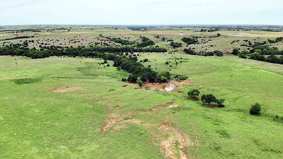 160 Acres of Recreational Land & Farm for Auction in Leedey, Oklahoma