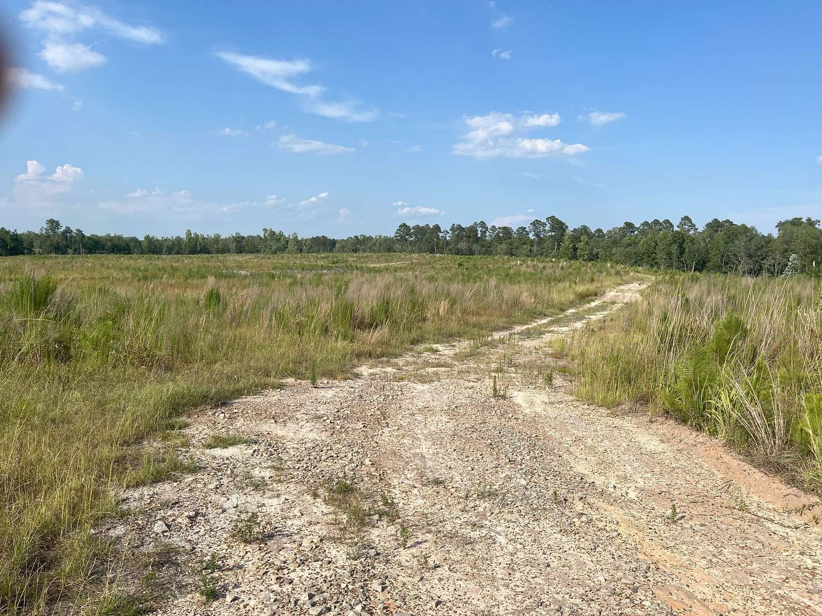 197.5 Acres of Recreational Land for Sale in Adrian, Georgia