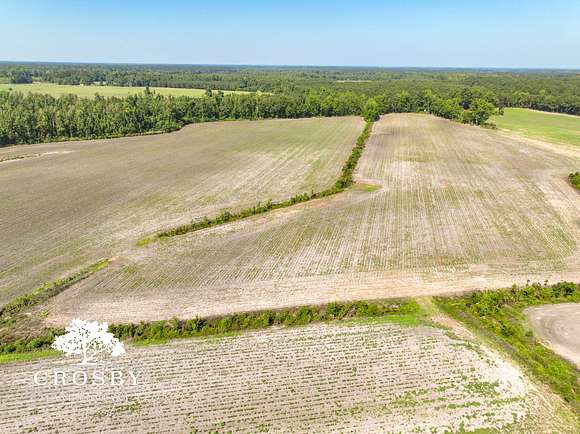 133.57 Acres of Recreational Land & Farm for Sale in Bamberg, South Carolina