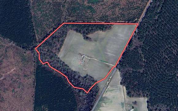 38 Acres of Recreational Land & Farm for Sale in Walstonburg, North Carolina