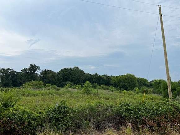 17 Acres of Recreational Land & Farm for Sale in Abbeville, Alabama