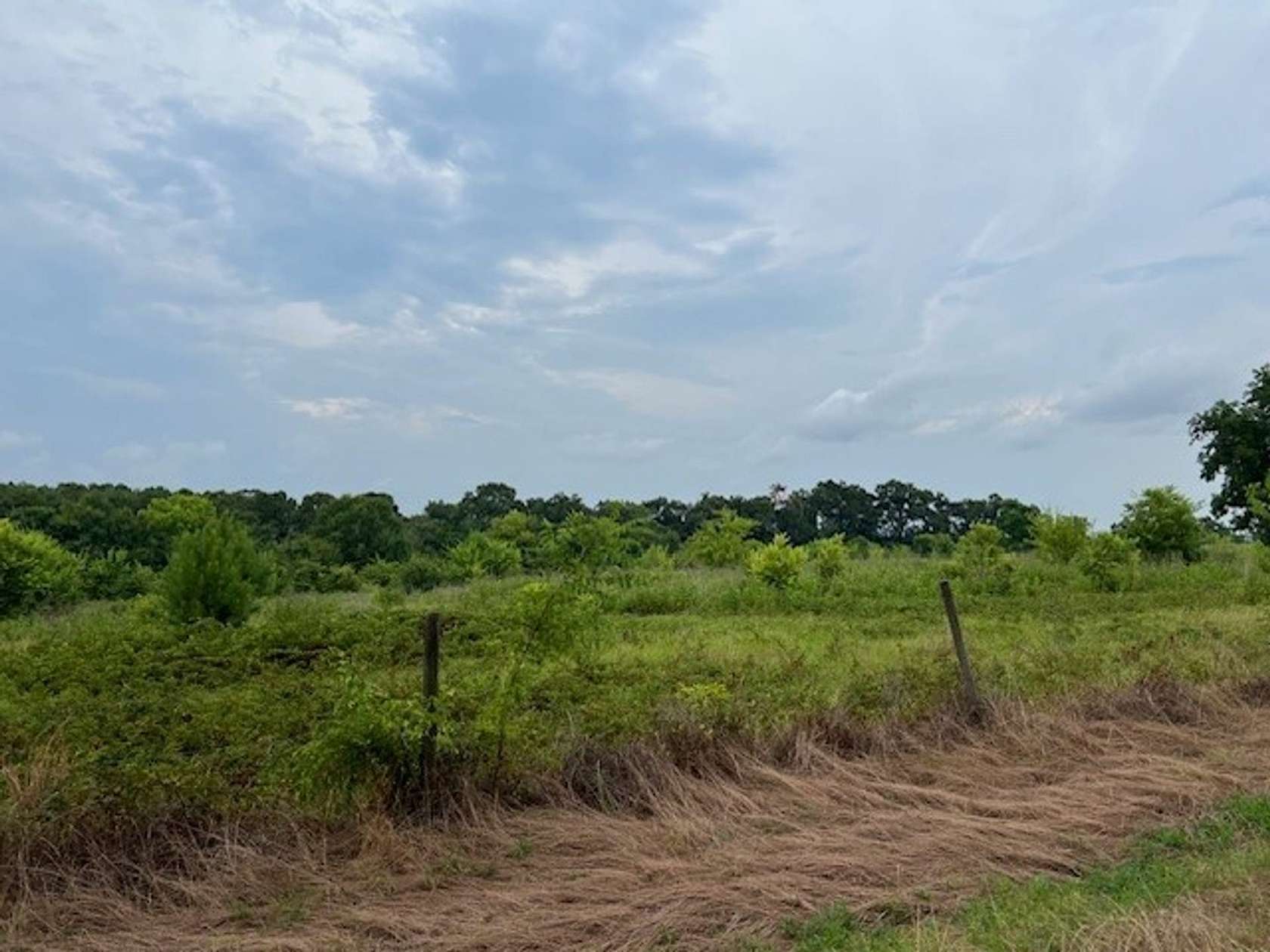 7 Acres of Recreational Land & Farm for Sale in Abbeville, Alabama