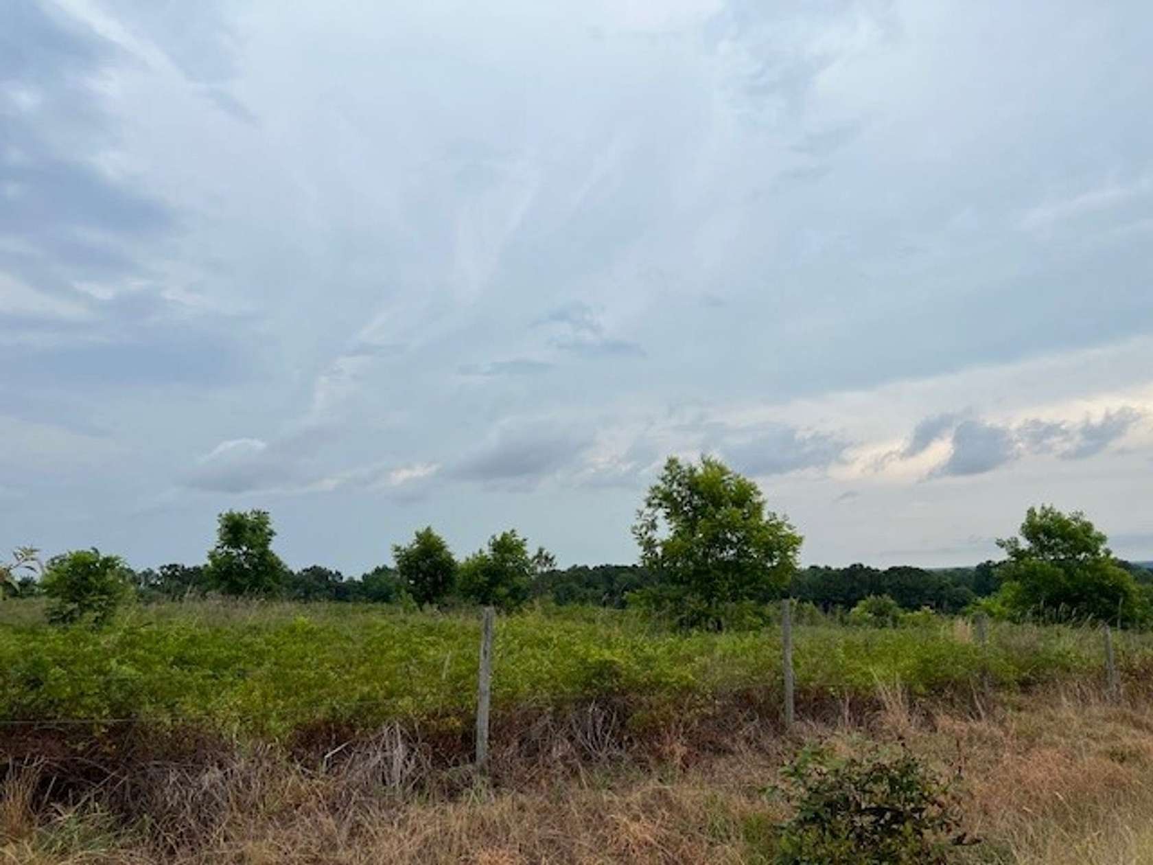 3 Acres of Recreational Land & Farm for Sale in Abbeville, Alabama