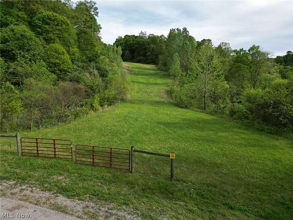 59.32 Acres of Recreational Land for Sale in Wintersville, Ohio