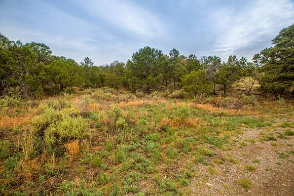 2.42 Acres of Residential Land for Sale in Sandia Park, New Mexico
