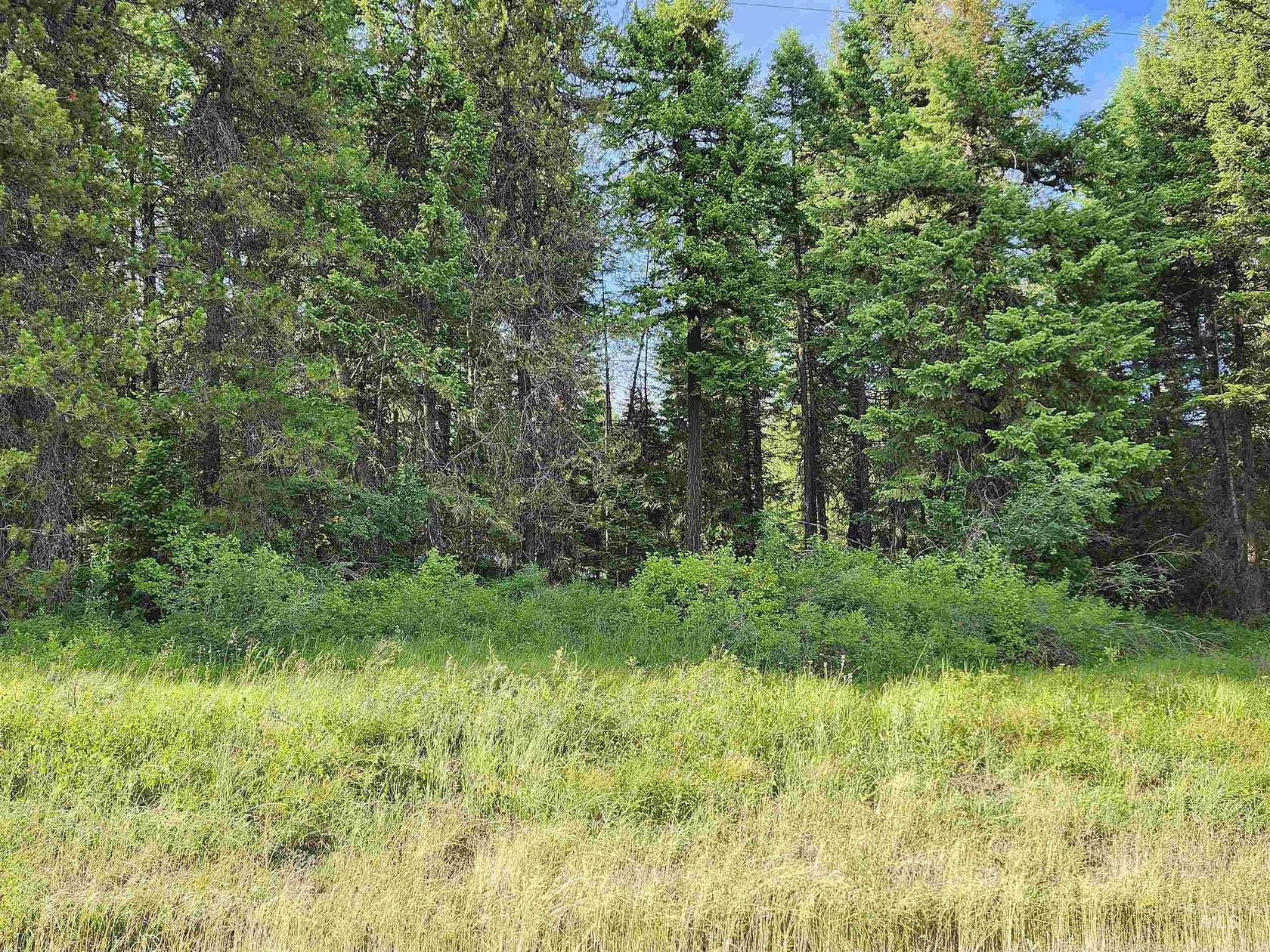 10 Acres of Land for Sale in Deary, Idaho