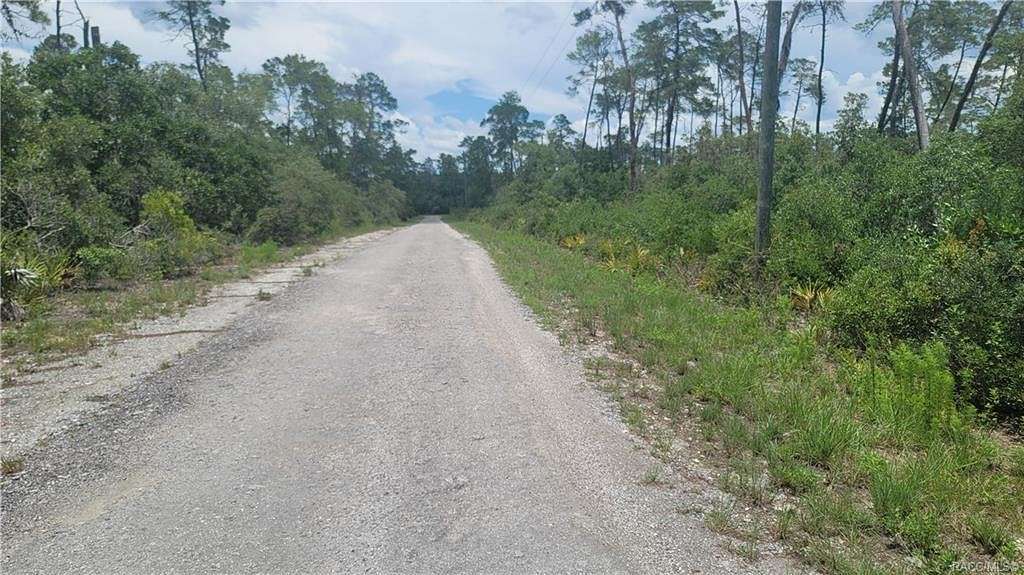 1.24 Acres of Residential Land for Sale in Dunnellon, Florida
