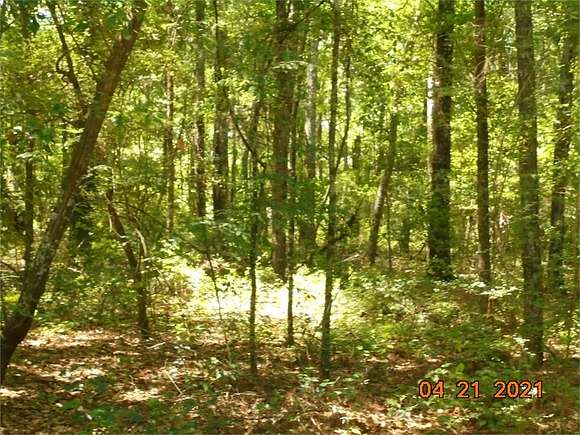 2.02 Acres of Residential Land for Sale in Meigs, Georgia