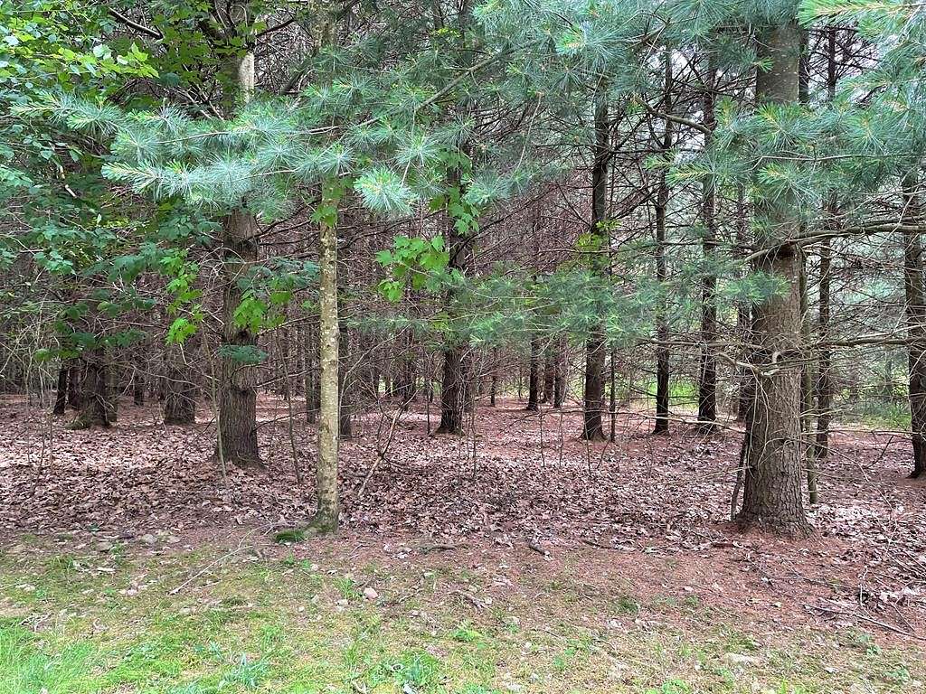 4.99 Acres of Land for Sale in Gaines, Pennsylvania