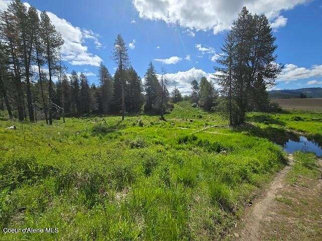 19.22 Acres of Land for Sale in Tensed, Idaho