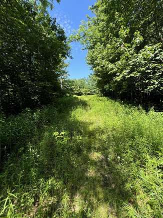 28 Acres of Recreational Land for Sale in Jackson, Maine
