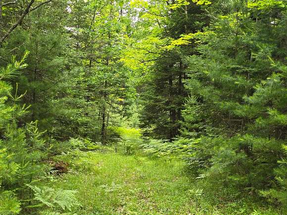 9.78 Acres of Residential Land for Sale in Conover, Wisconsin