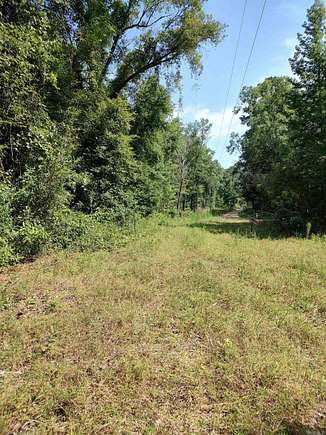 80 Acres of Recreational Land for Sale in Hampton, Arkansas