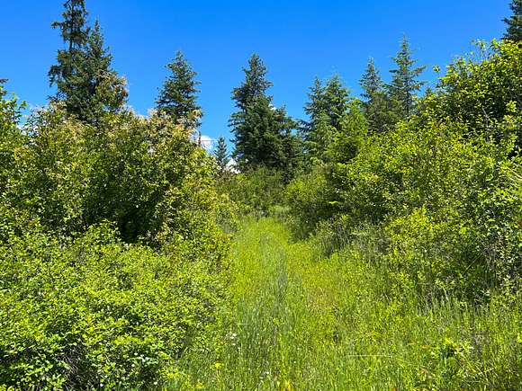 70.78 Acres of Recreational Land for Sale in Evans, Washington