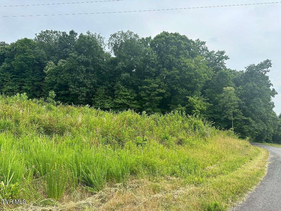 3.01 Acres of Land for Sale in Rogersville, Tennessee