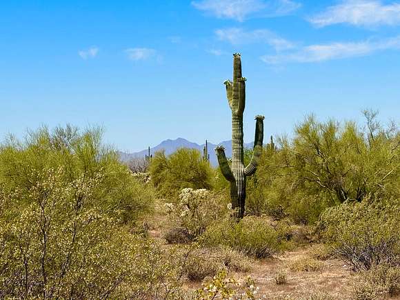 2.5 Acres of Residential Land for Sale in Marana, Arizona