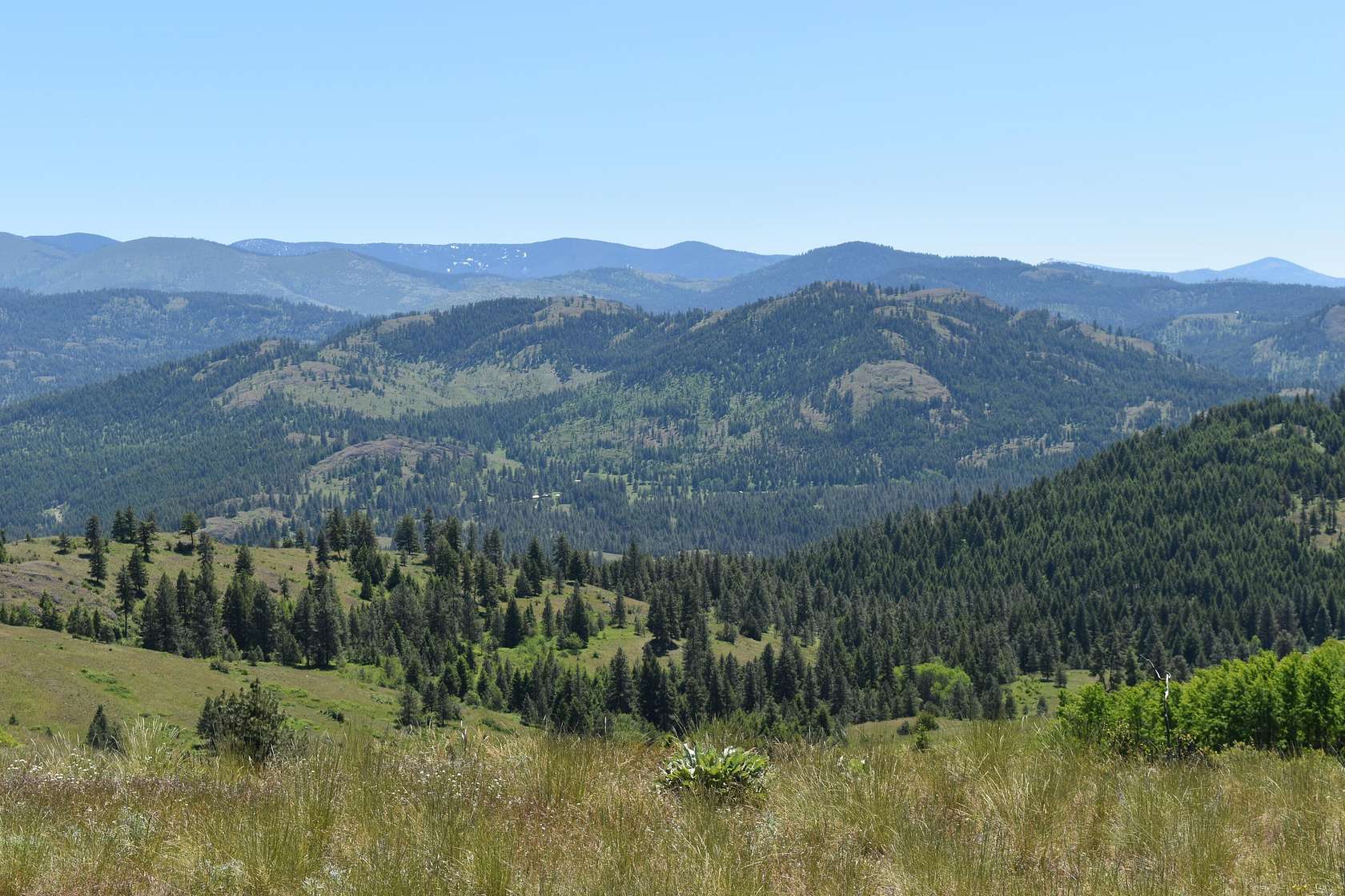 133.66 Acres of Recreational Land for Sale in Malo, Washington