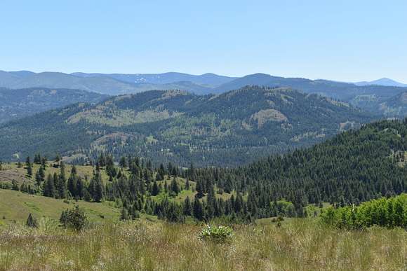133.66 Acres of Recreational Land for Sale in Malo, Washington