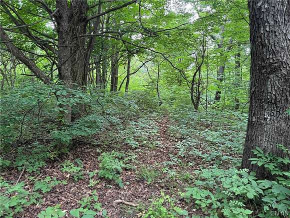 30 Acres of Land for Sale in Ripley, New York