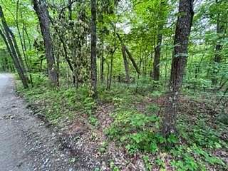 5.44 Acres of Land for Sale in McCaysville, Georgia