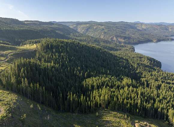20 Acres of Recreational Land for Sale in Kendrick, Idaho