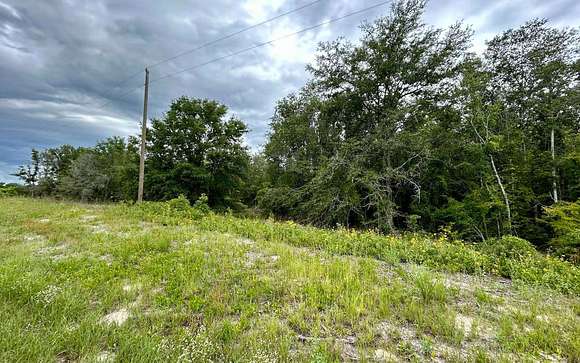 10 Acres of Residential Land for Sale in O'Brien, Florida