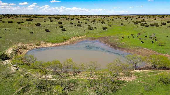 686.04 Acres of Recreational Land & Farm for Sale in Izoro, Texas